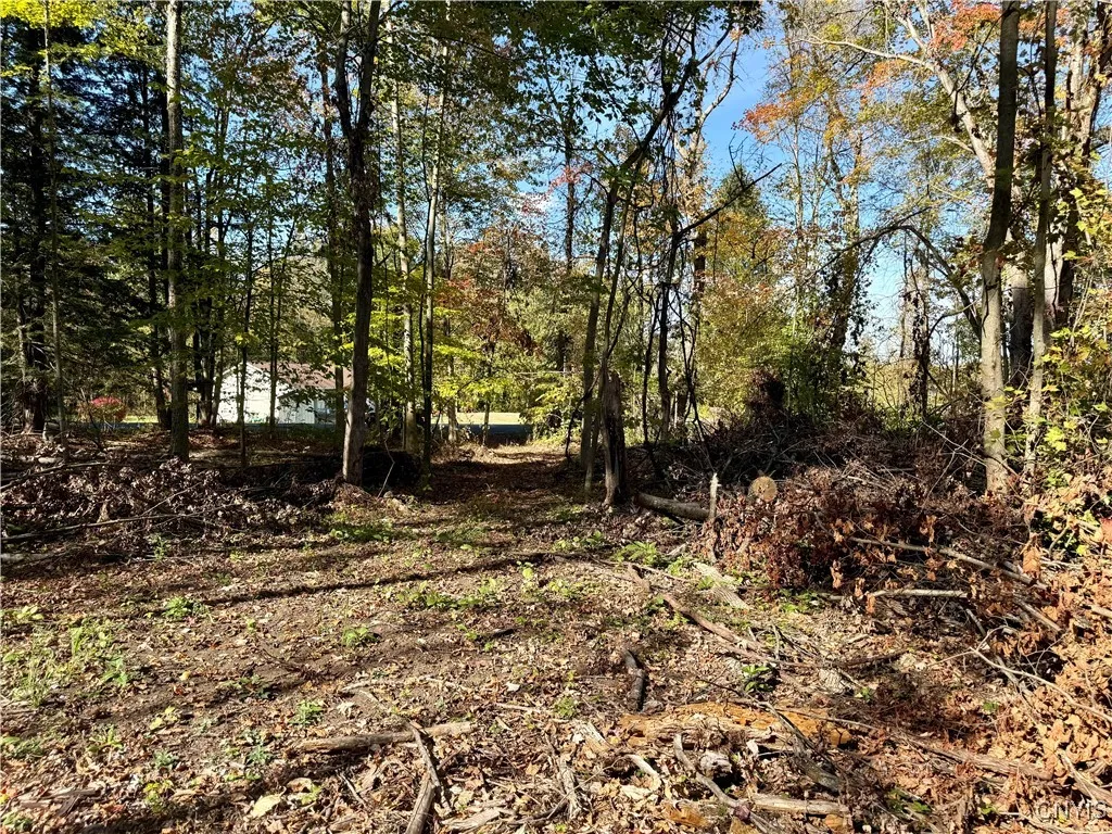 County Line Road, Granby, New York 13069, Granby, New York 13069, ,Land,For Sale,County Line Road, Granby, New York 13069,0,S1643592