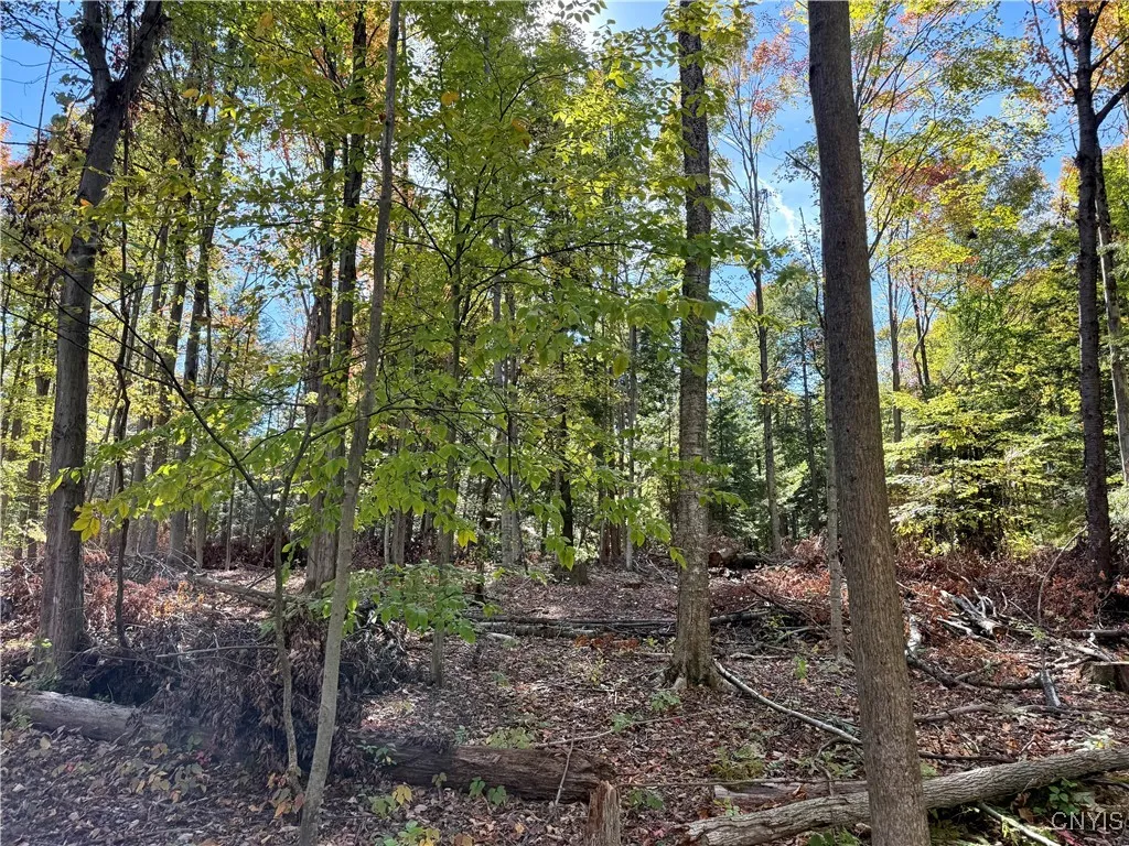 County Line Road, Granby, New York 13069, Granby, New York 13069, ,Land,For Sale,County Line Road, Granby, New York 13069,0,S1643592