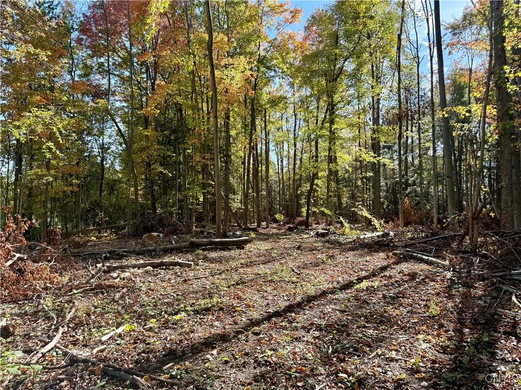 County Line Road, Granby, New York 13069, Granby, New York 13069, ,Land,For Sale,County Line Road, Granby, New York 13069,0,S1643592