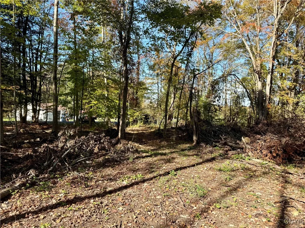 County Line Road, Granby, New York 13069, Granby, New York 13069, ,Land,For Sale,County Line Road, Granby, New York 13069,0,S1643592