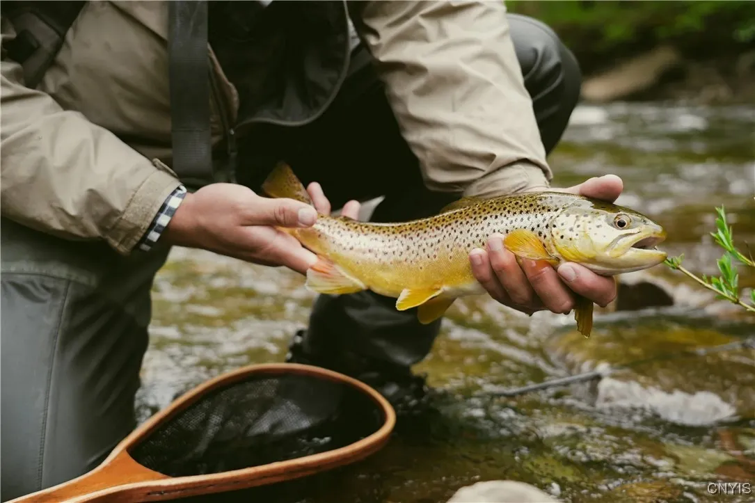 9830 Coal Hill Road, Annsville, New York 13471, Annsville, New York 13471, ,Land,For Sale,9830 Coal Hill Road, Annsville, New York 13471,0,S1643608