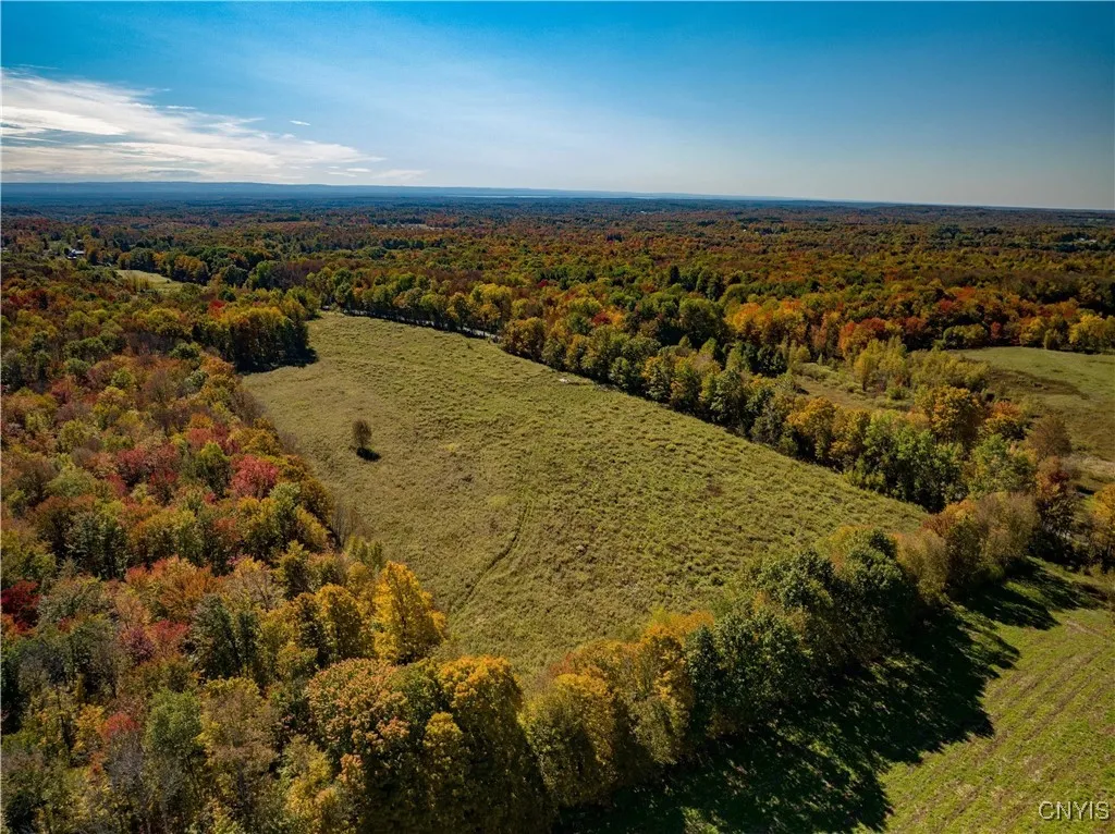 9830 Coal Hill Road, Annsville, New York 13471, Annsville, New York 13471, ,Land,For Sale,9830 Coal Hill Road, Annsville, New York 13471,0,S1643608