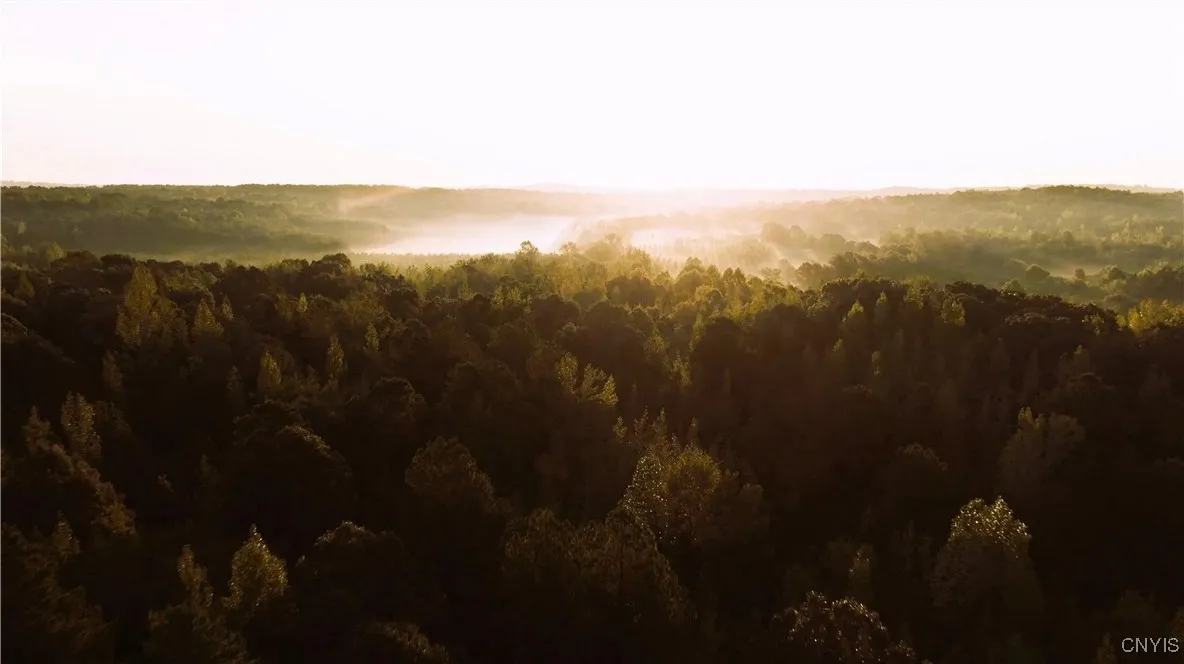 9830 Coal Hill Road, Annsville, New York 13471, Annsville, New York 13471, ,Land,For Sale,9830 Coal Hill Road, Annsville, New York 13471,0,S1643608