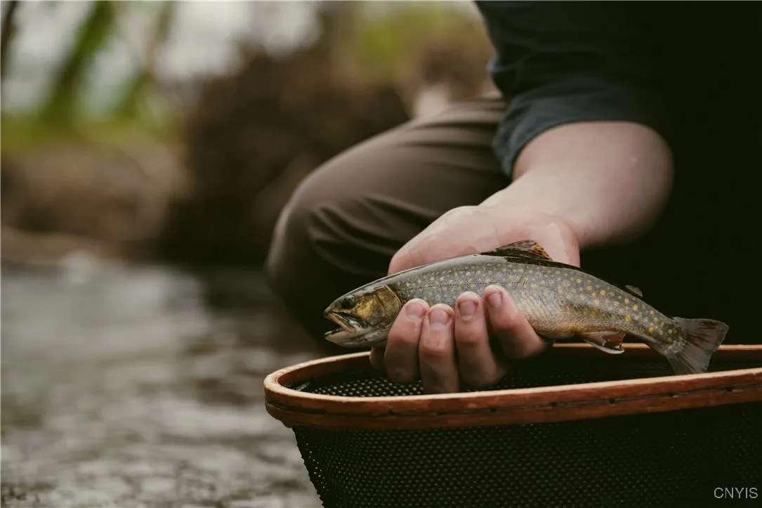 9830 Coal Hill Road, Annsville, New York 13471, Annsville, New York 13471, ,Land,For Sale,9830 Coal Hill Road, Annsville, New York 13471,0,S1643608