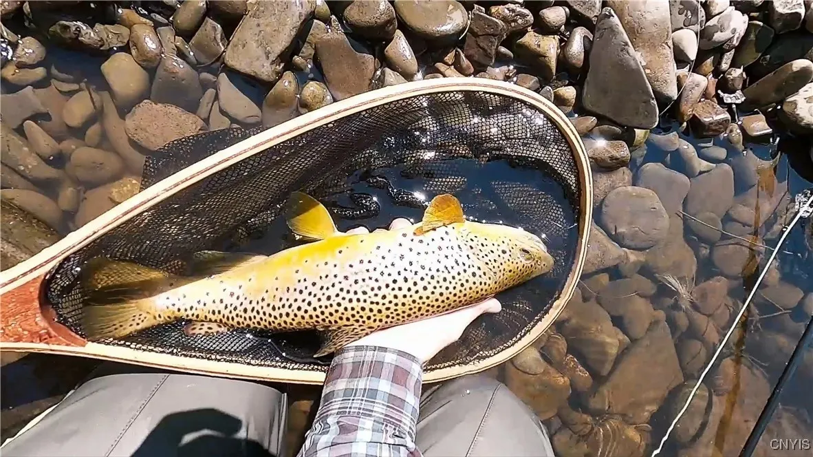 9830 Coal Hill Road, Annsville, New York 13471, Annsville, New York 13471, ,Land,For Sale,9830 Coal Hill Road, Annsville, New York 13471,0,S1643608