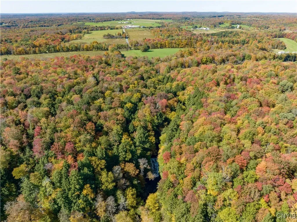 9830 Coal Hill Road, Annsville, New York 13471, Annsville, New York 13471, ,Land,For Sale,9830 Coal Hill Road, Annsville, New York 13471,0,S1643608