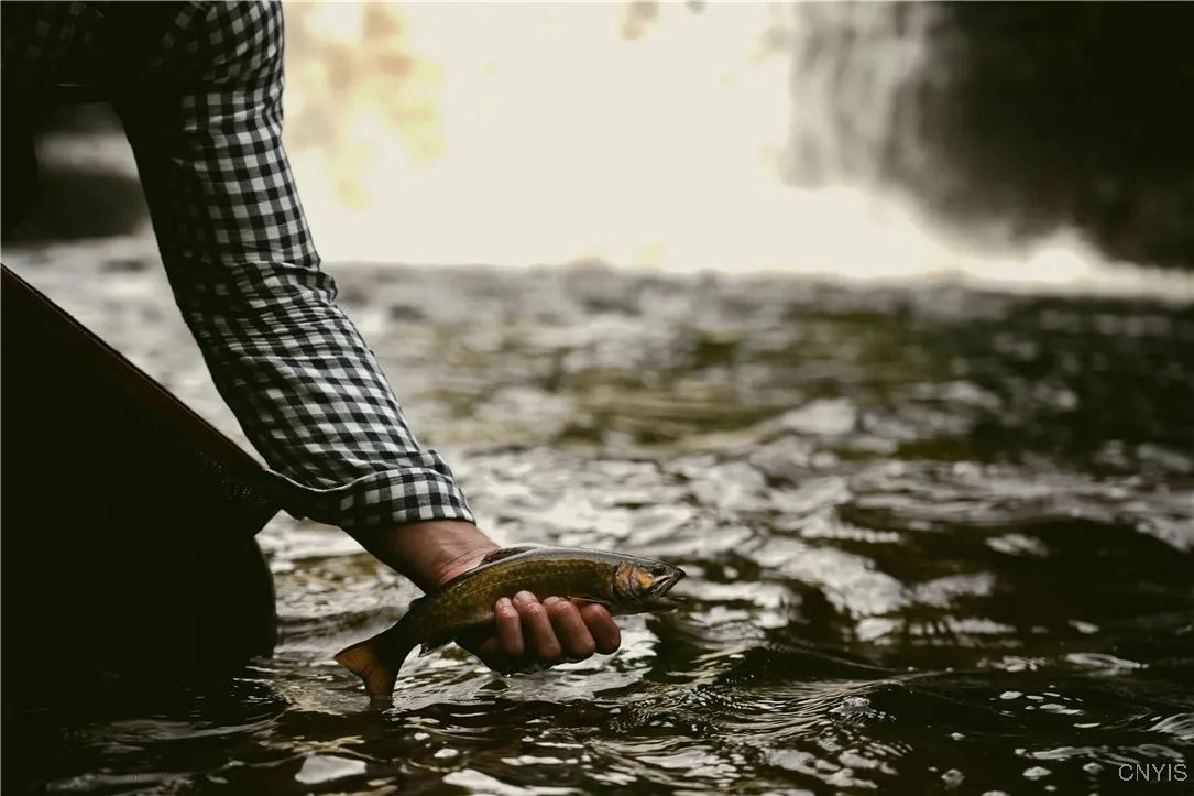 9830 Coal Hill Road, Annsville, New York 13471, Annsville, New York 13471, ,Land,For Sale,9830 Coal Hill Road, Annsville, New York 13471,0,S1643608