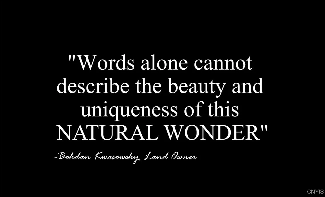 9830 Coal Hill Road, Annsville, New York 13471, Annsville, New York 13471, ,Land,For Sale,9830 Coal Hill Road, Annsville, New York 13471,0,S1643608