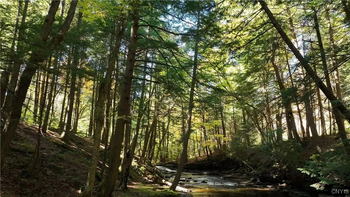 9830 Coal Hill Road, Annsville, New York 13471, Annsville, New York 13471, ,Land,For Sale,9830 Coal Hill Road, Annsville, New York 13471,0,S1643608