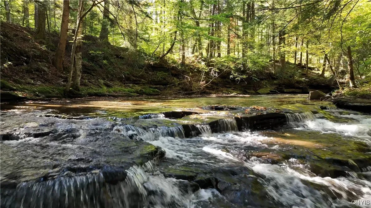 9830 Coal Hill Road, Annsville, New York 13471, Annsville, New York 13471, ,Land,For Sale,9830 Coal Hill Road, Annsville, New York 13471,0,S1643608