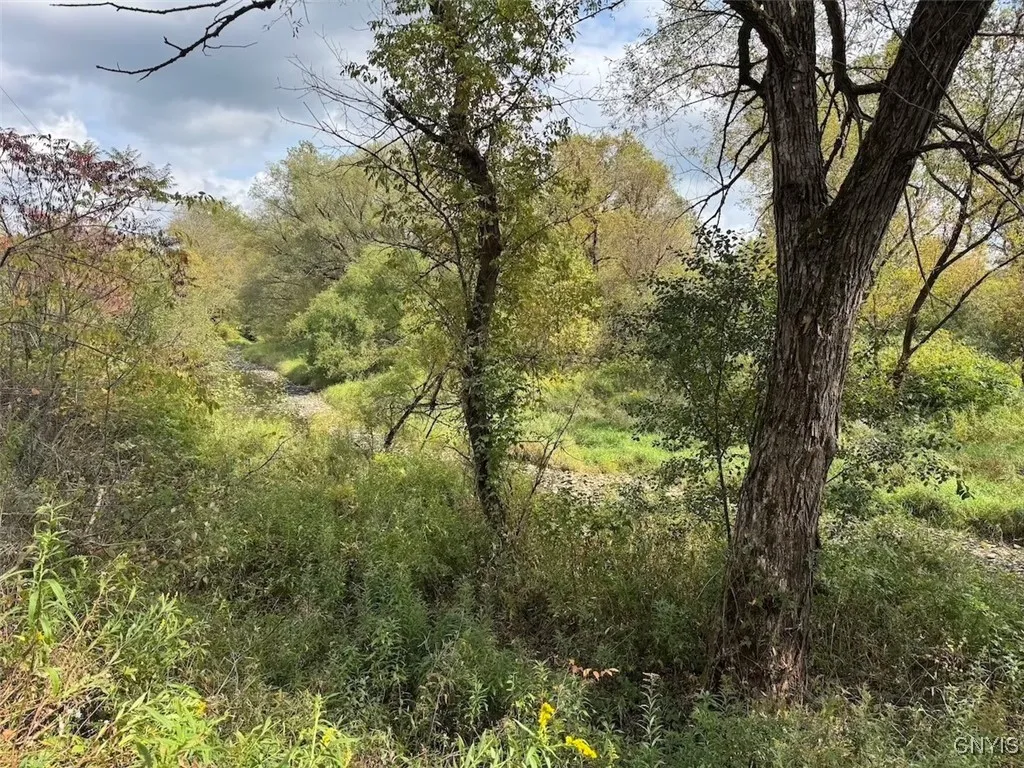 Sanford Hollow Road, Genesee, New York 14754, Genesee, New York 14754, ,Land,For Sale,Sanford Hollow Road, Genesee, New York 14754,0,S1643725