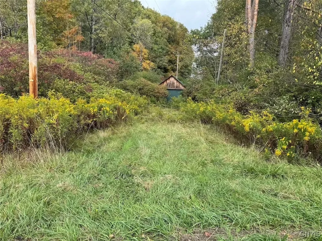 Sanford Hollow Road, Genesee, New York 14754, Genesee, New York 14754, ,Land,For Sale,Sanford Hollow Road, Genesee, New York 14754,0,S1643725
