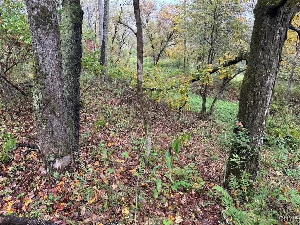 Sanford Hollow Road, Genesee, New York 14754, Genesee, New York 14754, ,Land,For Sale,Sanford Hollow Road, Genesee, New York 14754,0,S1643725