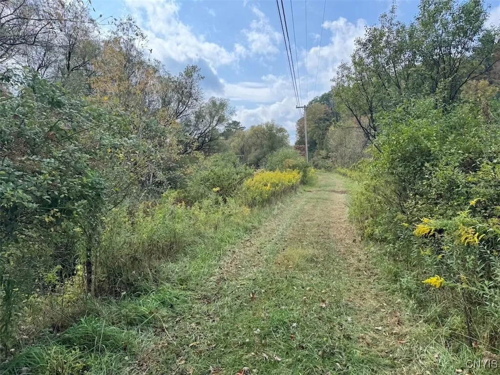 Sanford Hollow Road, Genesee, New York 14754, Genesee, New York 14754, ,Land,For Sale,Sanford Hollow Road, Genesee, New York 14754,0,S1643725