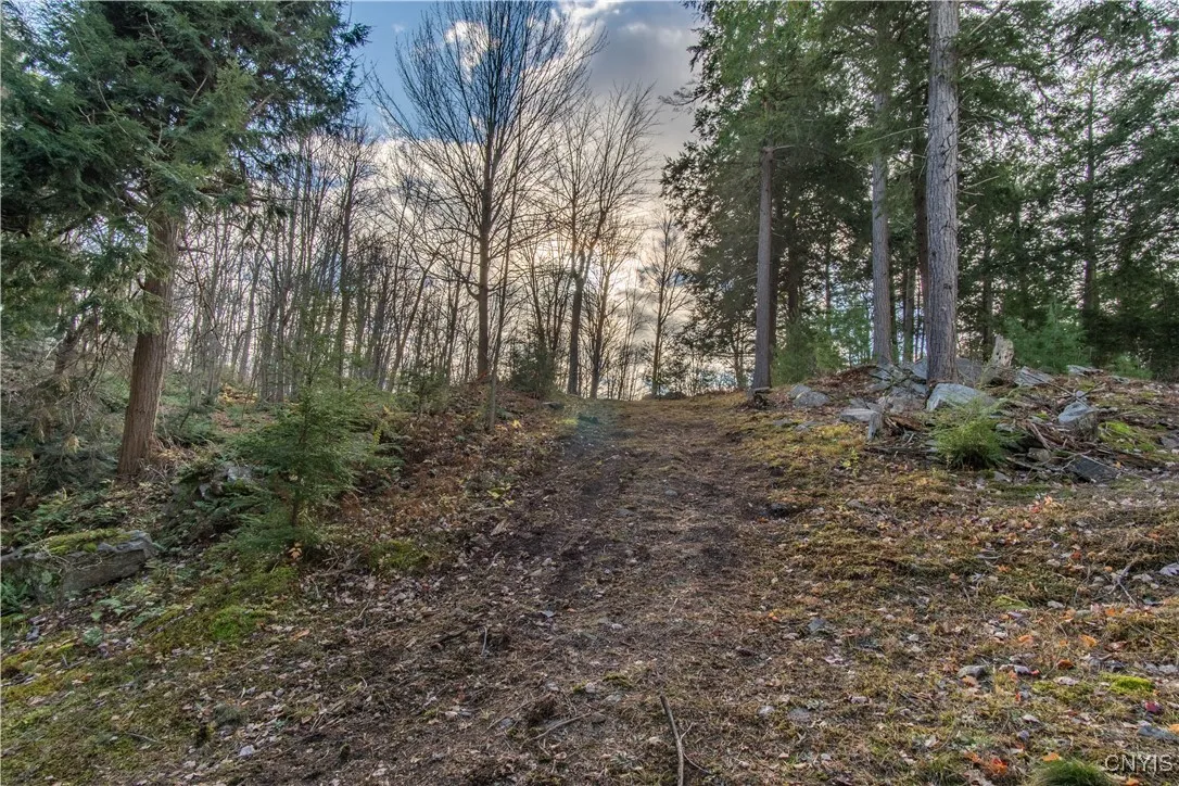 24 Park Circle/ Pvrt, Rossie, New York 13646, Rossie, New York 13646, ,Land,For Sale,24 Park Circle/ Pvrt, Rossie, New York 13646,0,S1643703