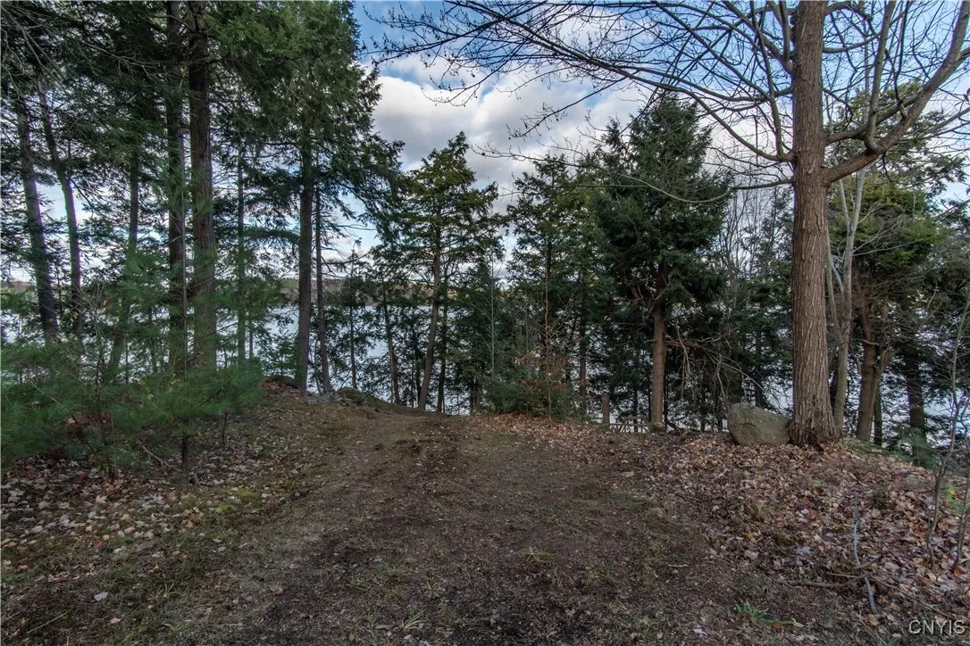 24 Park Circle/ Pvrt, Rossie, New York 13646, Rossie, New York 13646, ,Land,For Sale,24 Park Circle/ Pvrt, Rossie, New York 13646,0,S1643703