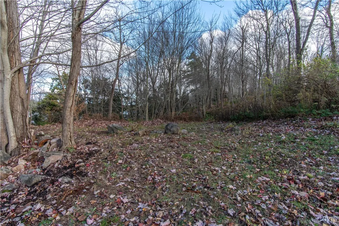24 Park Circle/ Pvrt, Rossie, New York 13646, Rossie, New York 13646, ,Land,For Sale,24 Park Circle/ Pvrt, Rossie, New York 13646,0,S1643703