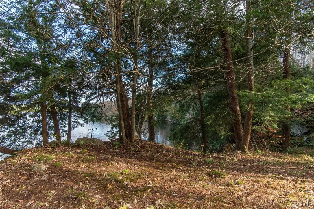 24 Park Circle/ Pvrt, Rossie, New York 13646, Rossie, New York 13646, ,Land,For Sale,24 Park Circle/ Pvrt, Rossie, New York 13646,0,S1643703