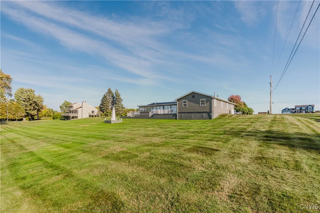 View of backyard
