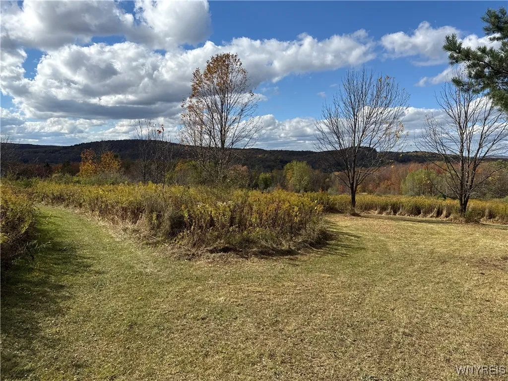 California Hill Road, Mansfield, New York 14755, Mansfield, New York 14755, ,Land,For Sale,California Hill Road, Mansfield, New York 14755,0,B1643750