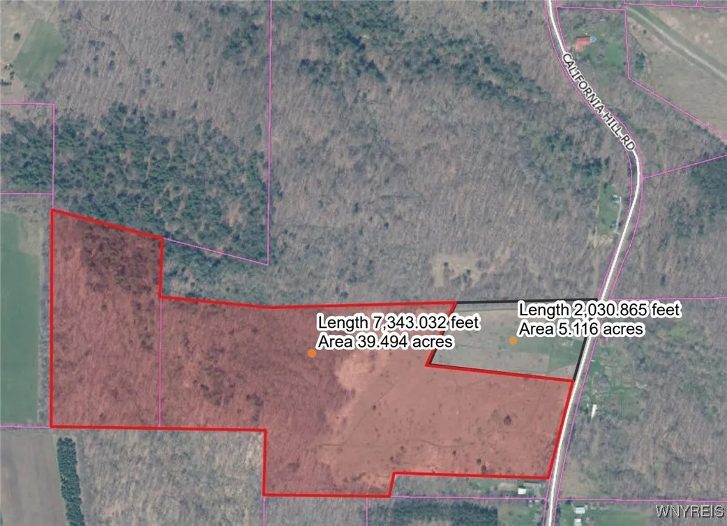 California Hill Road, Mansfield, New York 14755, Mansfield, New York 14755, ,Land,For Sale,California Hill Road, Mansfield, New York 14755,0,B1643750
