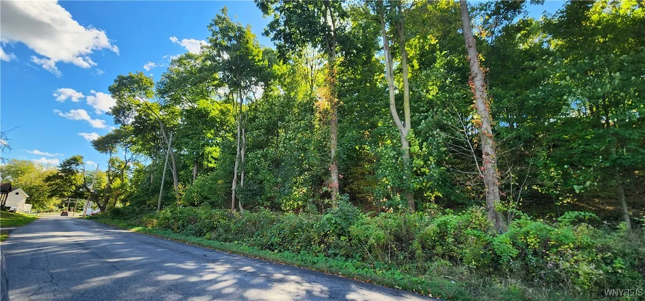 20 Glenwood Avenue, Lockport City, New York 14094, Lockport City, New York 14094, ,Land,For Sale,20 Glenwood Avenue, Lockport City, New York 14094,0,B1643436