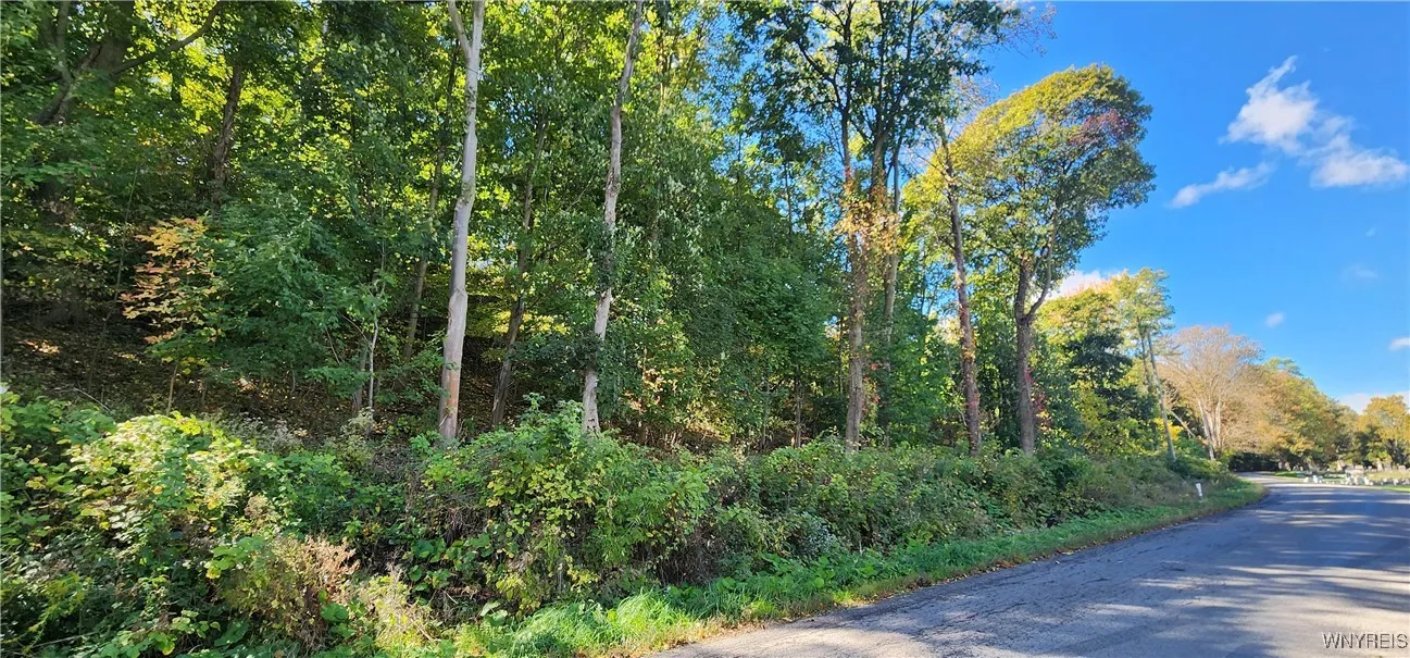 20 Glenwood Avenue, Lockport City, New York 14094, Lockport City, New York 14094, ,Land,For Sale,20 Glenwood Avenue, Lockport City, New York 14094,0,B1643436