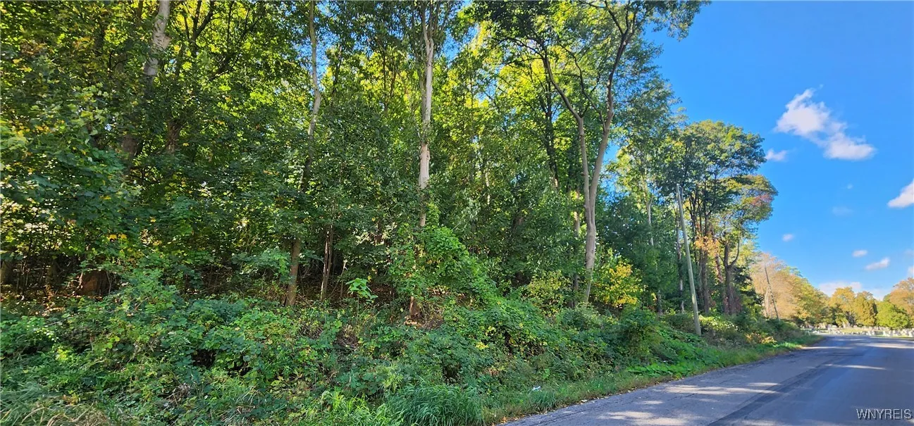 57 Hill Street, Lockport City, New York 14094, Lockport City, New York 14094, ,Land,For Sale,57 Hill Street, Lockport City, New York 14094,0,B1643453