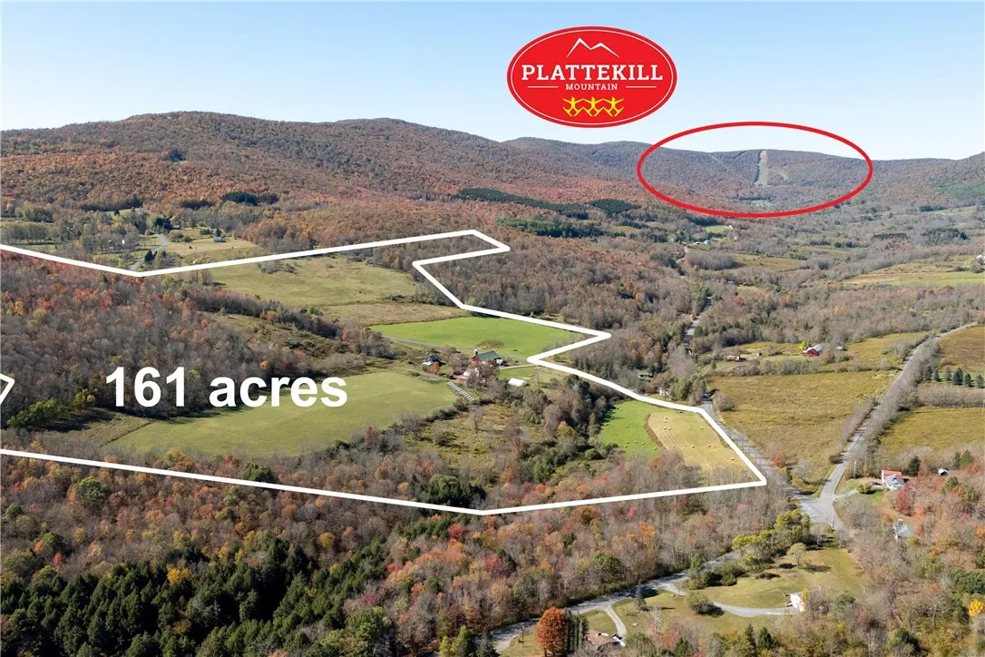 3536 New Kingston Mountain Road, Roxbury, New York, Roxbury, New York 12474, ,Commercial Sale,For Sale,3536 New Kingston Mountain Road, Roxbury, New York,0,R1643633