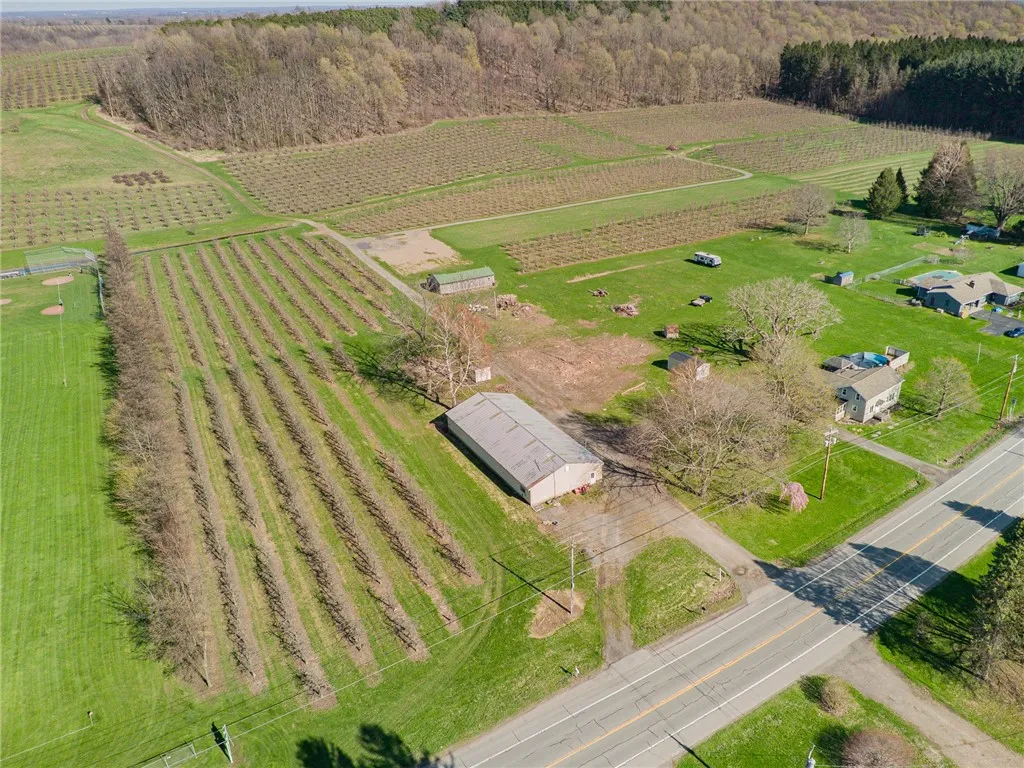 6196 State Route 88, Sodus, New York 14551, Sodus, New York 14551, ,Land,For Sale,6196 State Route 88, Sodus, New York 14551,0,R1643021