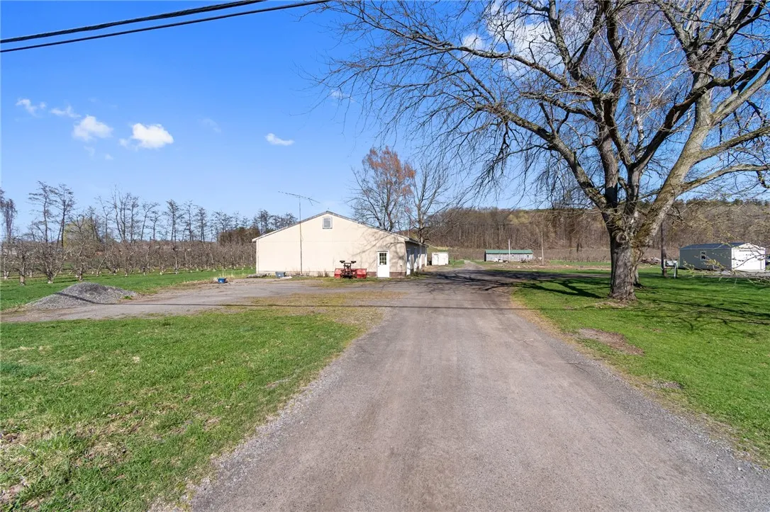 6196 State Route 88, Sodus, New York 14551, Sodus, New York 14551, ,Land,For Sale,6196 State Route 88, Sodus, New York 14551,0,R1643021