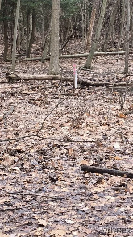 Path to the back corner marker