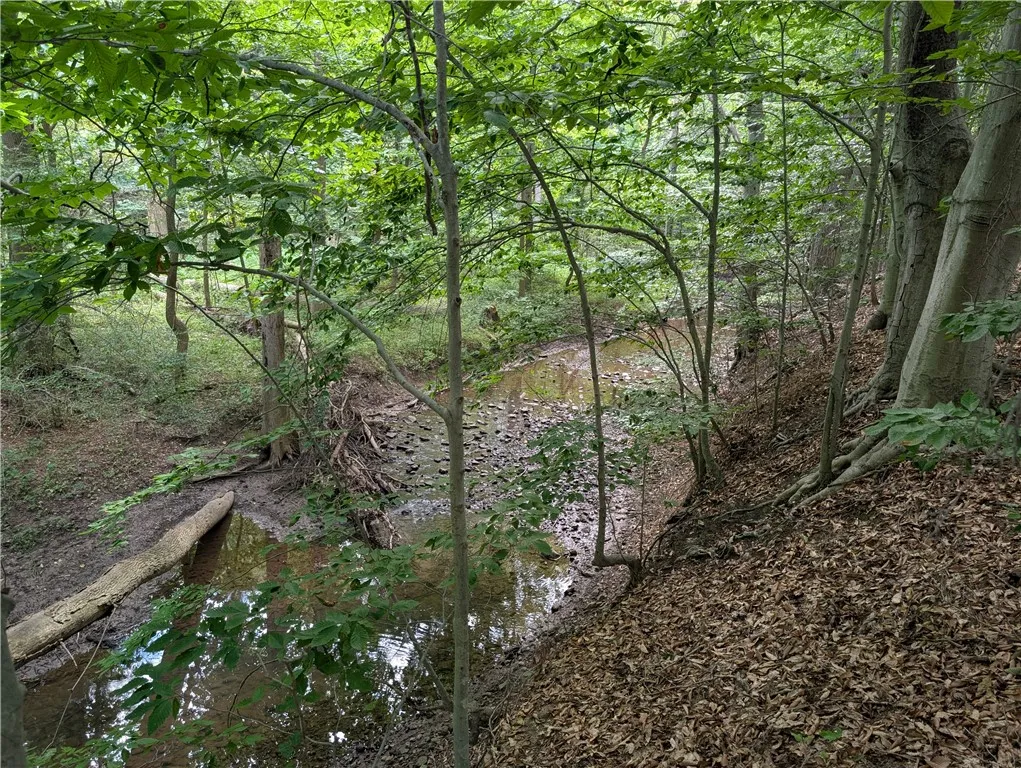 461 Lawrence Road, Clarkson, New York 14420, Clarkson, New York 14420, 3 Bedrooms Bedrooms, 11 Rooms Rooms,2 BathroomsBathrooms,Residential,For Sale,461 Lawrence Road, Clarkson, New York 14420,0,R1642929