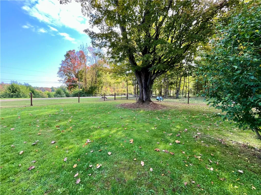 Super nice COUNTRY SETTING