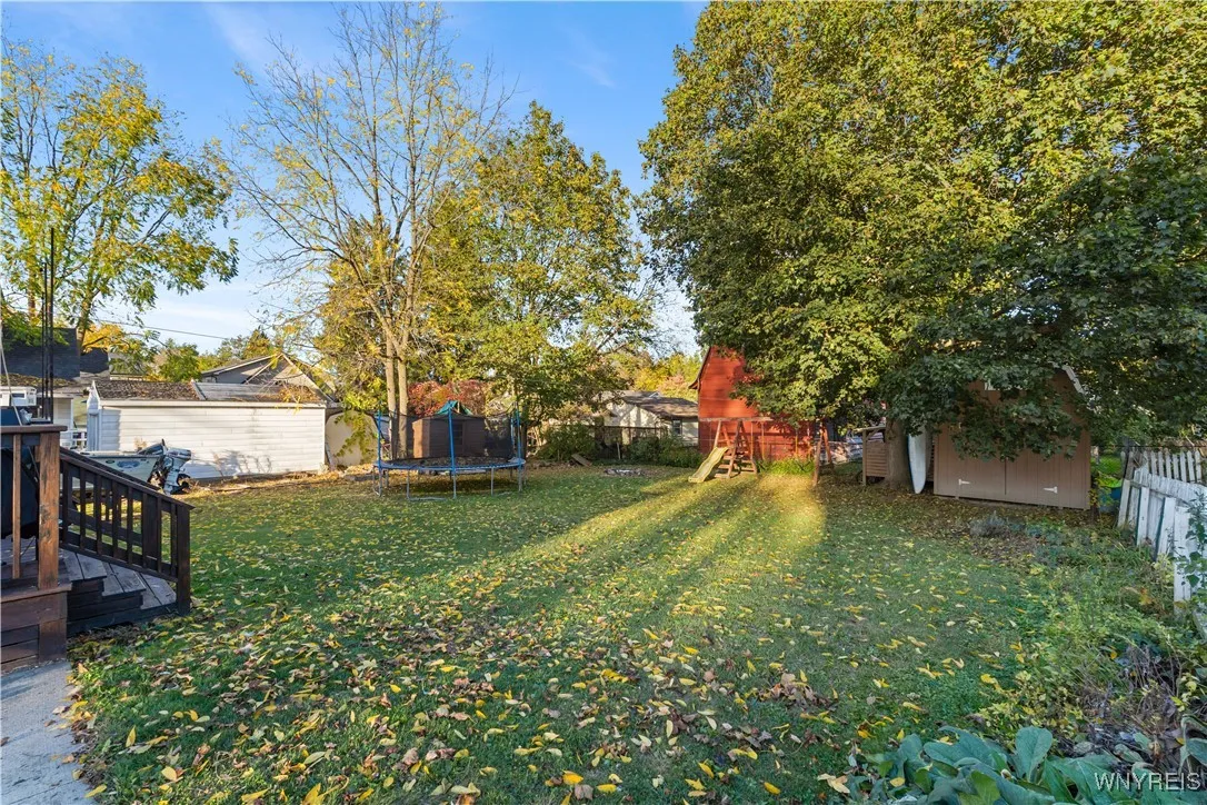 Back yard