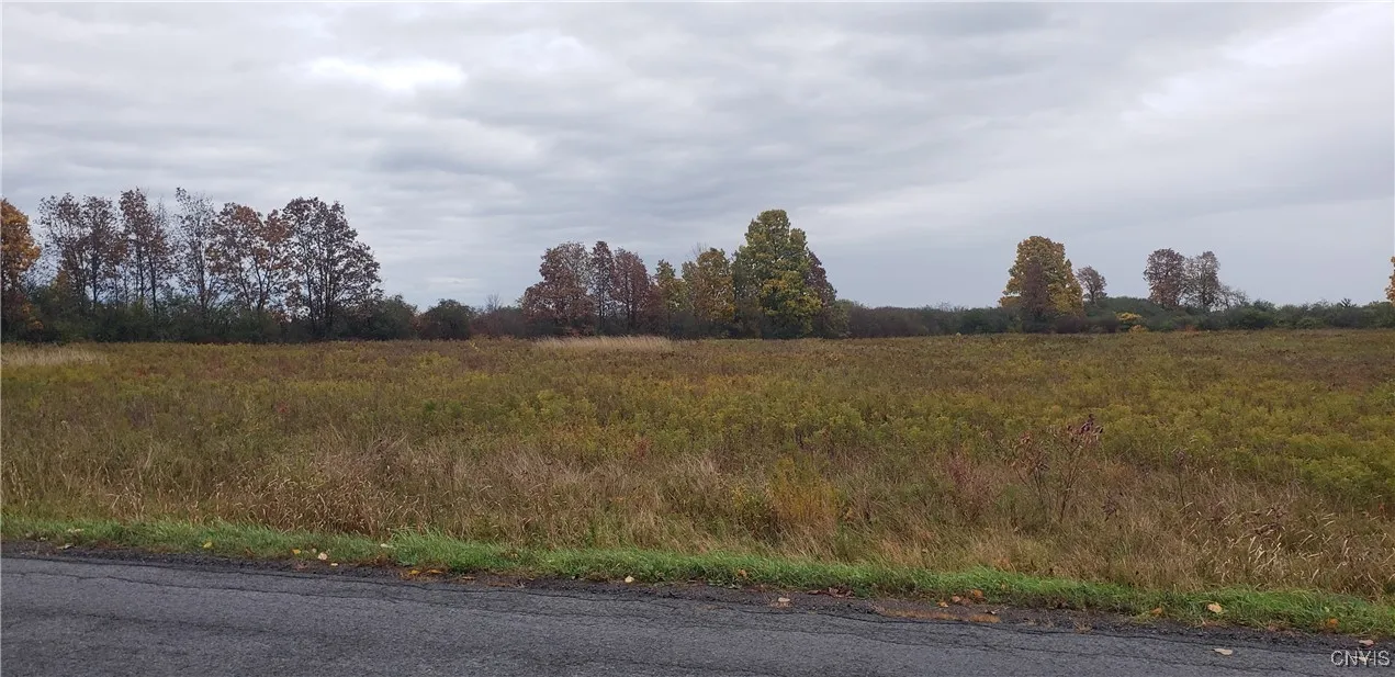 0 Bonney Road, Brownville, New York 13601, Brownville, New York 13601, ,Land,For Sale,0 Bonney Road, Brownville, New York 13601,0,S1642943