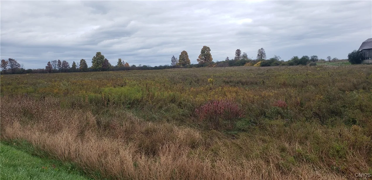 0 Bonney Road, Brownville, New York 13601, Brownville, New York 13601, ,Land,For Sale,0 Bonney Road, Brownville, New York 13601,0,S1642943