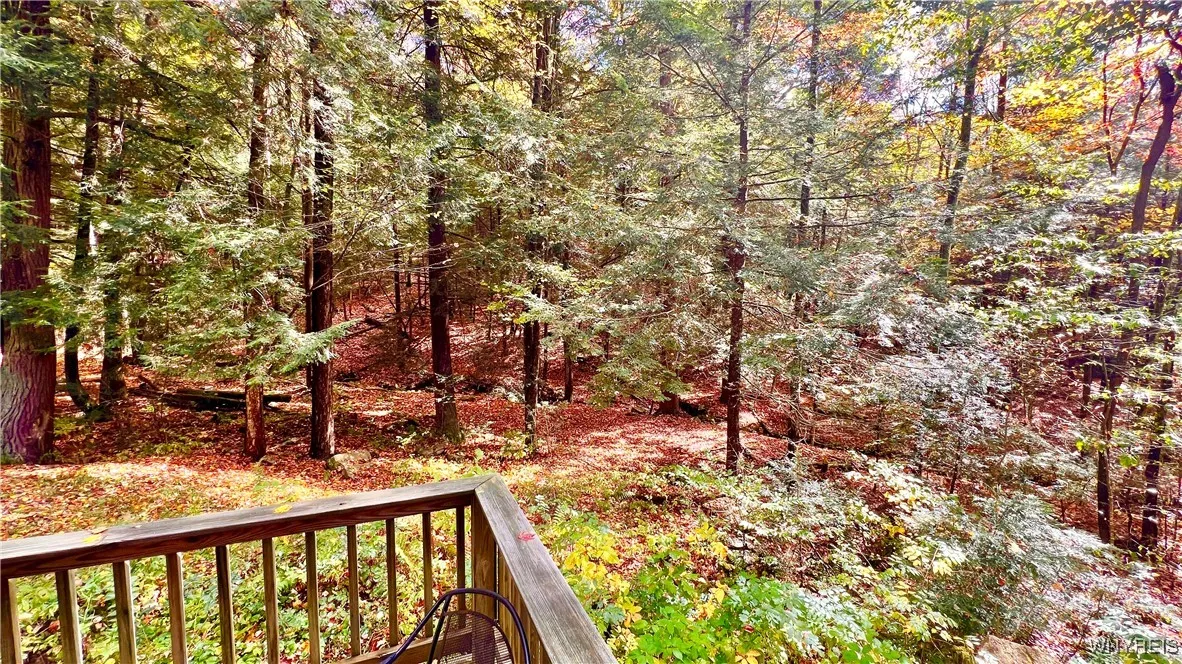3662 Forest Hill Road, Great Valley, New York 1474, Great Valley, New York 14748, 3 Bedrooms Bedrooms, 6 Rooms Rooms,1 BathroomBathrooms,Residential,For Sale,3662 Forest Hill Road, Great Valley, New York 1474,0,B1643929