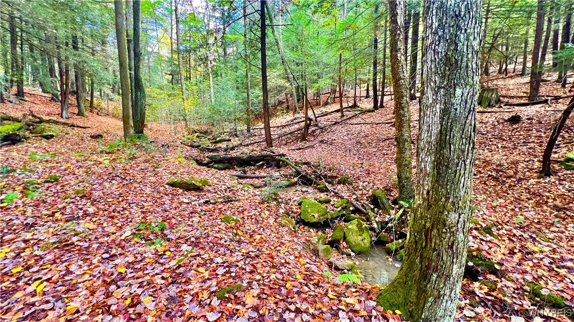 3662 Forest Hill Road, Great Valley, New York 1474, Great Valley, New York 14748, 3 Bedrooms Bedrooms, 6 Rooms Rooms,1 BathroomBathrooms,Residential,For Sale,3662 Forest Hill Road, Great Valley, New York 1474,0,B1643929