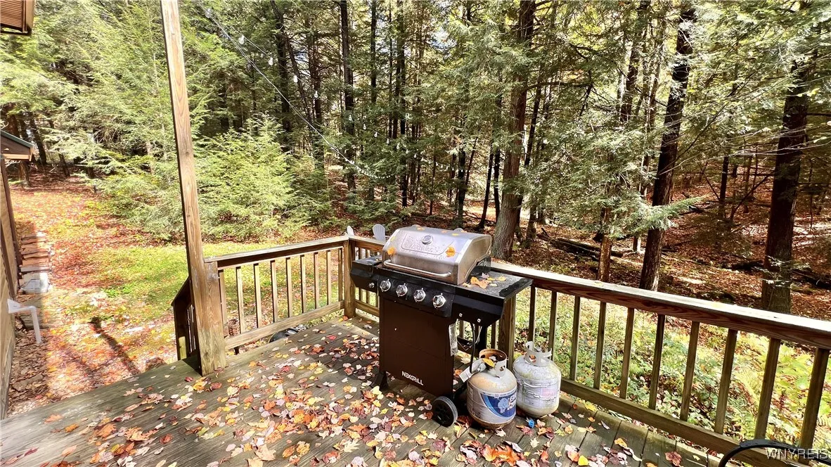 3662 Forest Hill Road, Great Valley, New York 1474, Great Valley, New York 14748, 3 Bedrooms Bedrooms, 6 Rooms Rooms,1 BathroomBathrooms,Residential,For Sale,3662 Forest Hill Road, Great Valley, New York 1474,0,B1643929