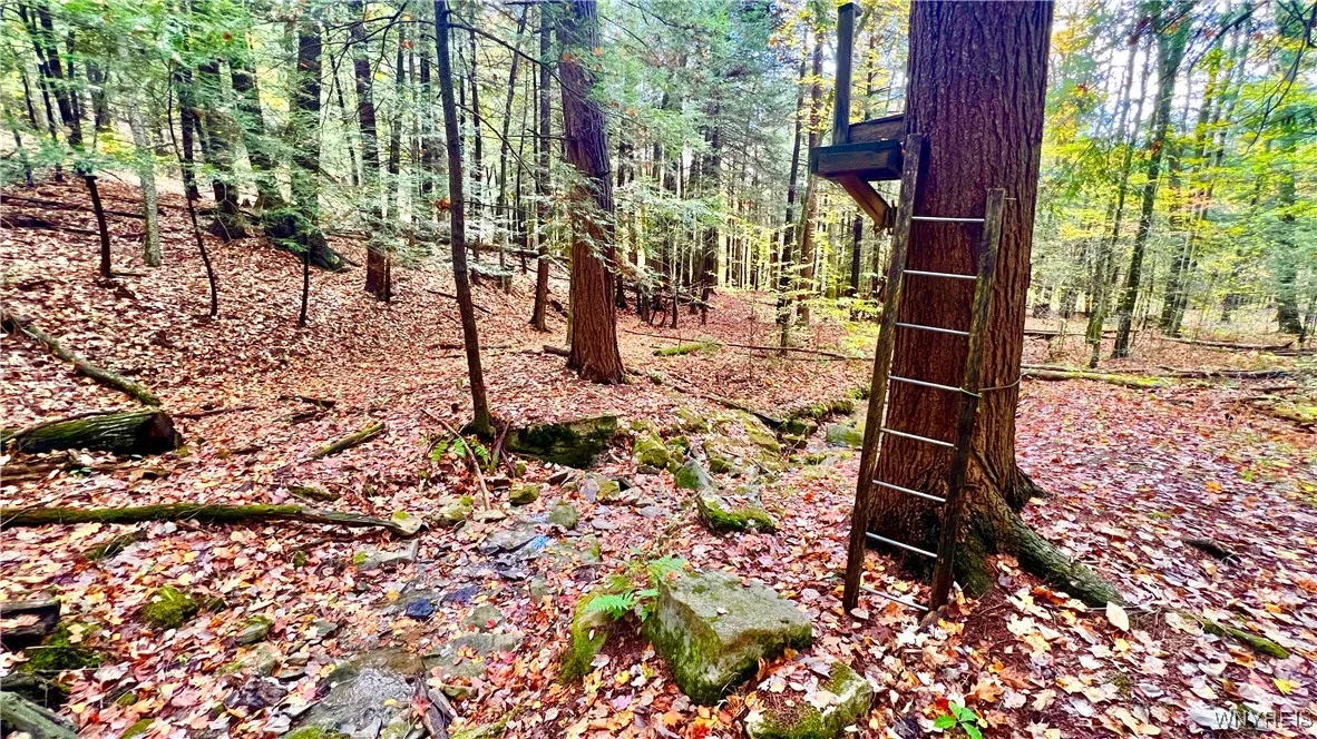 3662 Forest Hill Road, Great Valley, New York 1474, Great Valley, New York 14748, 3 Bedrooms Bedrooms, 6 Rooms Rooms,1 BathroomBathrooms,Residential,For Sale,3662 Forest Hill Road, Great Valley, New York 1474,0,B1643929