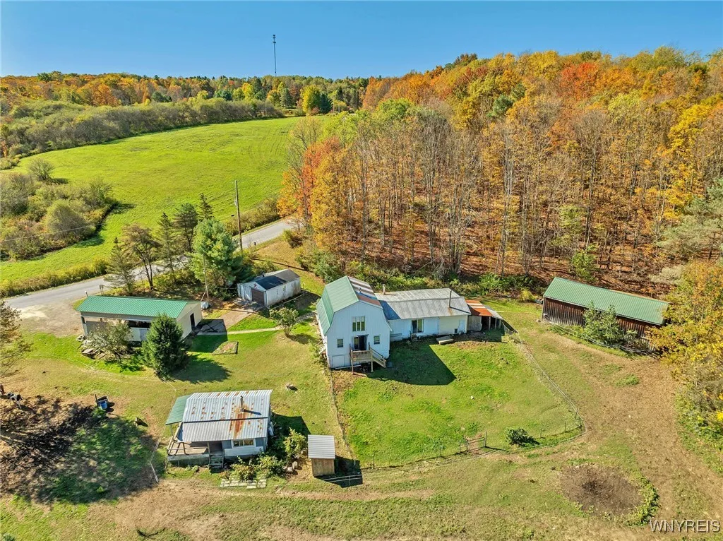 12322 Cherry Creek Hill Road, Leon, New York 14726, Leon, New York 14726, 4 Bedrooms Bedrooms, 11 Rooms Rooms,1 BathroomBathrooms,Residential,Closed,12322 Cherry Creek Hill Road, Leon, New York 14726,0,B1644164
