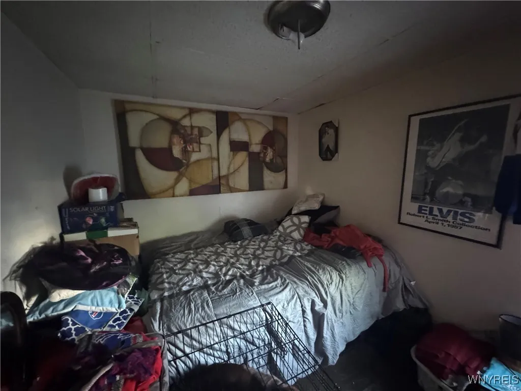 397 Plymouth Avenue, Buffalo, New York 14213, Buffalo, New York 14213, 10 Bedrooms Bedrooms, ,4 BathroomsBathrooms,Residential,Closed,397 Plymouth Avenue, Buffalo, New York 14213,0,B1644023