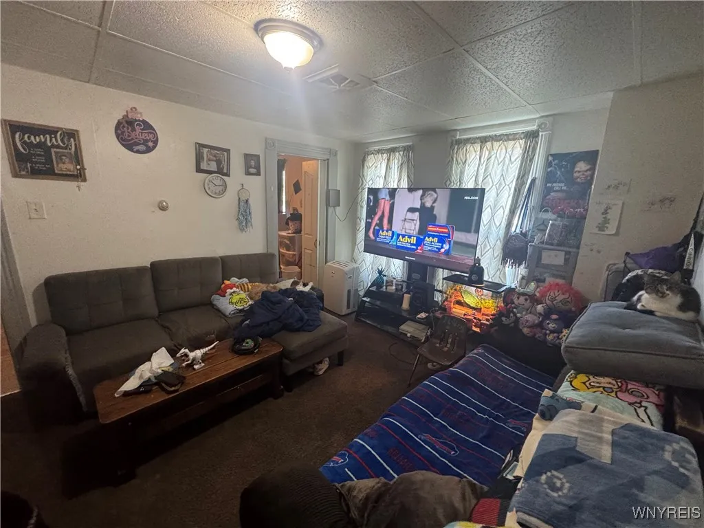 397 Plymouth Avenue, Buffalo, New York 14213, Buffalo, New York 14213, 10 Bedrooms Bedrooms, ,4 BathroomsBathrooms,Residential,Closed,397 Plymouth Avenue, Buffalo, New York 14213,0,B1644023