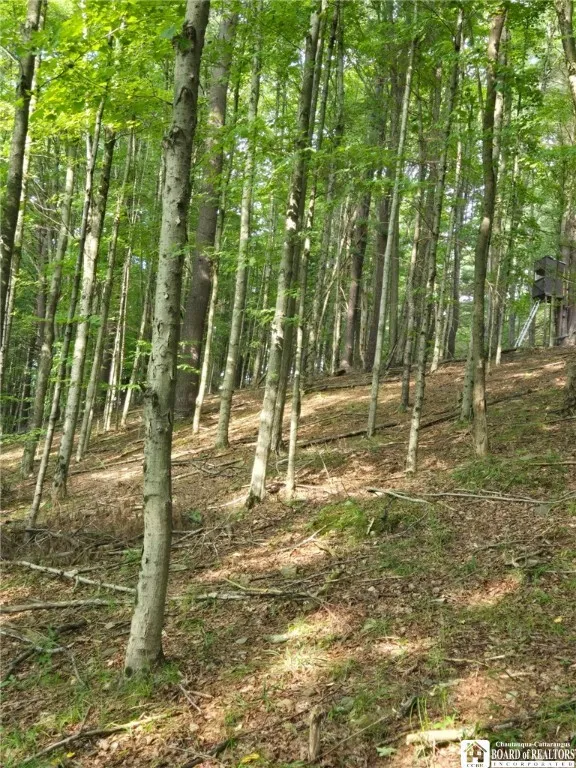 8505 State Route 417, Genesee, New York 14754, Genesee, New York 14754, 3 Bedrooms Bedrooms, 10 Rooms Rooms,2 BathroomsBathrooms,Residential,For Sale,8505 State Route 417, Genesee, New York 14754,0,R1643910