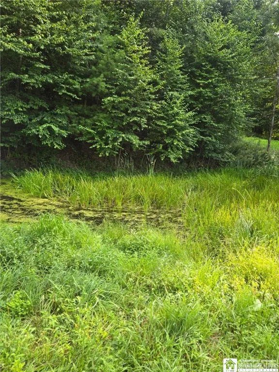 8505 State Route 417, Genesee, New York 14754, Genesee, New York 14754, 3 Bedrooms Bedrooms, 10 Rooms Rooms,2 BathroomsBathrooms,Residential,For Sale,8505 State Route 417, Genesee, New York 14754,0,R1643910