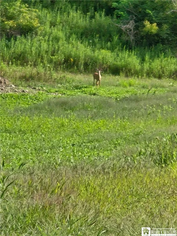 8505 State Route 417, Genesee, New York 14754, Genesee, New York 14754, 3 Bedrooms Bedrooms, 10 Rooms Rooms,2 BathroomsBathrooms,Residential,For Sale,8505 State Route 417, Genesee, New York 14754,0,R1643910