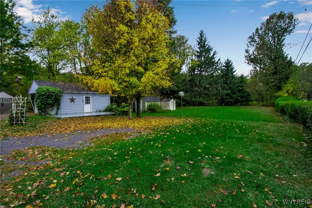 Side Yard