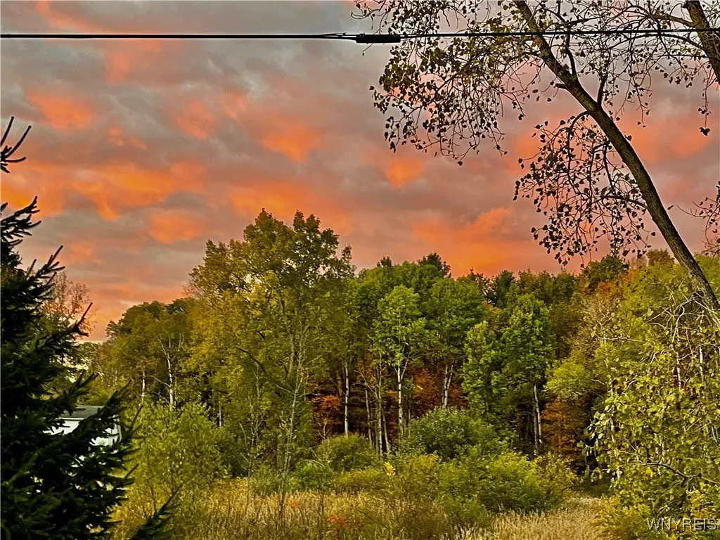 9954 Vermont Hill Road, Holland, New York 14080, Holland, New York 14080, 5 Bedrooms Bedrooms, ,2 BathroomsBathrooms,Residential,For Sale,9954 Vermont Hill Road, Holland, New York 14080,0,B1644462