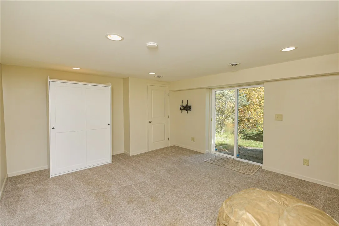 Lower Level Living space